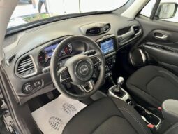 
Jeep Renegade Limited full									