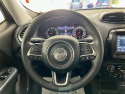 
Jeep Renegade Limited full									